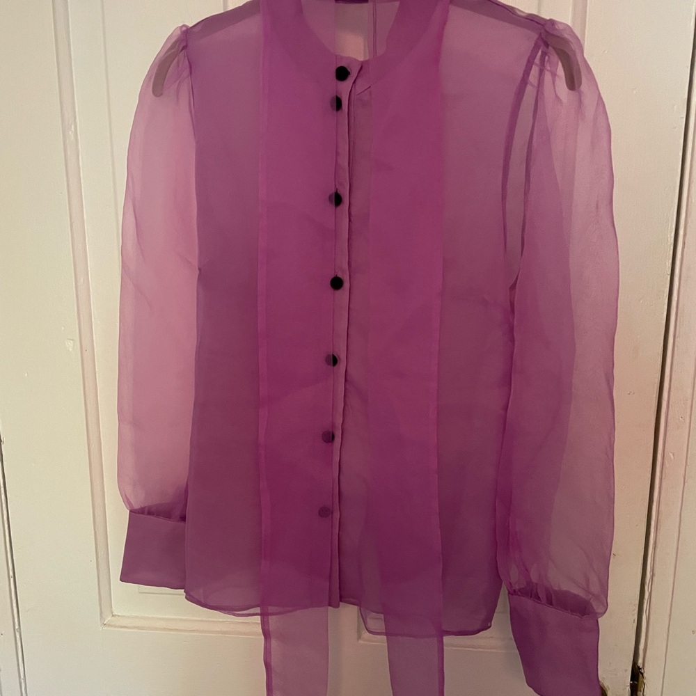 Sold Zara Vibrant Purple Sheer Blouse